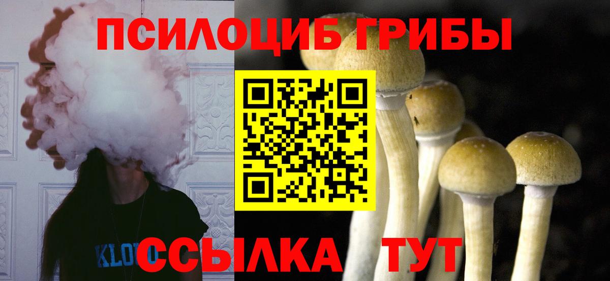 Галлюциногенные грибы MAGIC MUSHROOMS  Псилоцибиновые грибы мицелий  Вход с VPN  купить   Сочи 